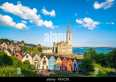 Cobh, nella contea di Cork, provincia di Munster, Irlanda, Europa. Case colorate di fronte al San Colman cattedrale. Foto Stock