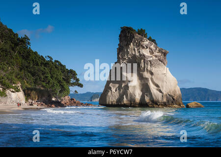 Nuova Zelanda, Isola del nord, la Penisola di Coromandel, Hahei, Cove Della Cattedrale Foto Stock