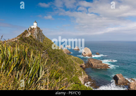 Nuova Zelanda, Isola del Sud, Southland, Il Catlins, Nugget Point, Nuggett Point LIghthouse, vista in elevazione Foto Stock