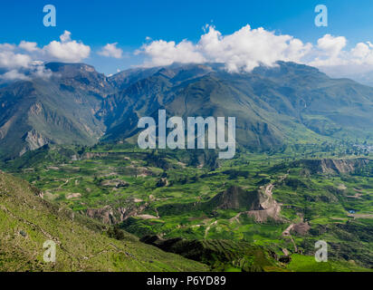 Il Colca Valley, regione di Arequipa, Perù Foto Stock