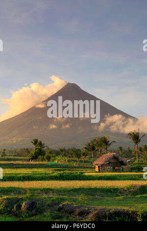 Filippine, Souteastern Luzon, Bicol, Vulcano Mayon Foto Stock