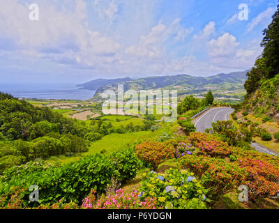 Portogallo Azzorre, Sao Miguel, Nordeste, vista della costa orientale con Le Ortensie in primo piano. Foto Stock