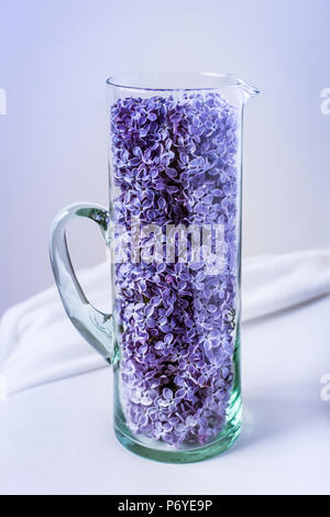 Brocca in vetro con violet piccoli fiori all'interno Foto Stock