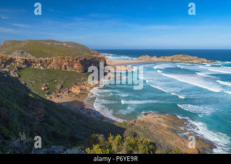 Robberg Riserva Naturale, Plettenberg Bay, Western Cape, Sud Africa Foto Stock