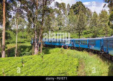 Sri Lanka, provincia centrale, Kandy al treno di Badulla accanto la piantagione di tè Foto Stock