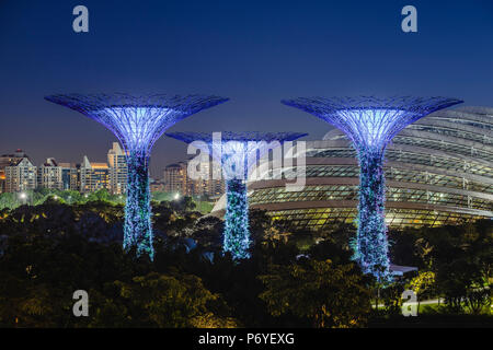Singapore Repubblica di Singapore, Sud-est asiatico. Giardino con piante di alloro con lo skyline della città nel contesto. Foto Stock