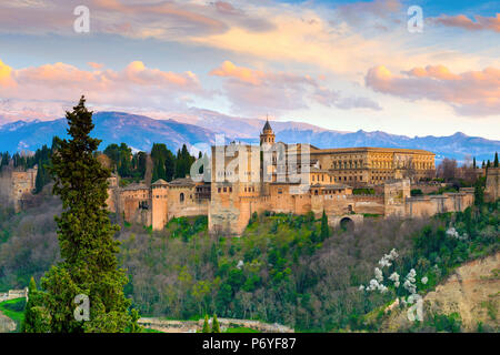 Spagna, Andalusia, Granada, Alhambra Palace Foto Stock