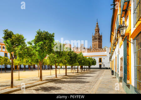 Corte di Banderas con la Giralda e la torre della cattedrale, Sito Patrimonio Mondiale dell'UNESCO, Sevilla, Andalusia, Spagna Foto Stock