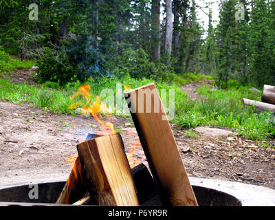 Le fiamme di un fuoco in una fossa di una montagna campeggio con alberi di pino in background Foto Stock