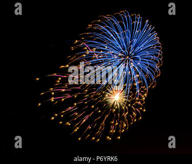 Fuochi d'artificio blu predomina il burst questo display di burst di 4 Foto Stock