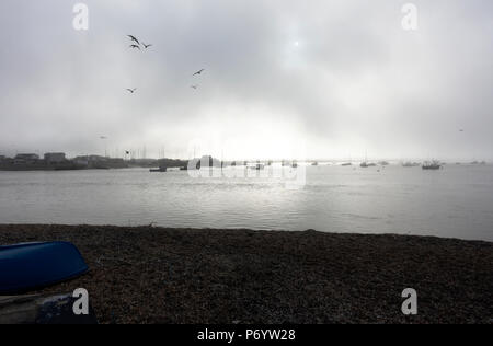 Fiume Deben, Bawdsey, traghetto, Suffolk, Inghilterra. Foto Stock