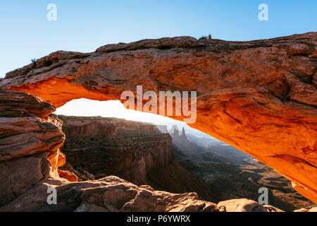 Mesa Arch sunrise, il Parco Nazionale di Canyonlands, Utah, Stati Uniti d'America Foto Stock