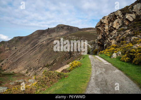 Percorso Allt Wen in Sychnant Pass vicino a Conwy, Galles del Nord, Regno Unito. Foto Stock