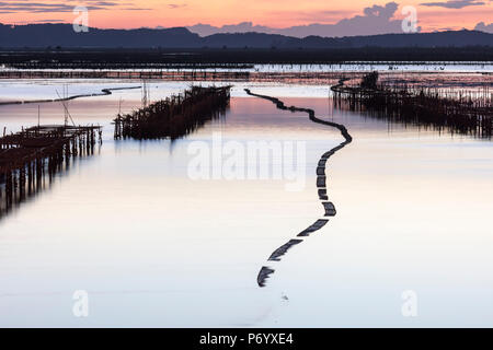 Ostriche nella forma di un serpente al tramonto, Halong Bay, Quang Ninh provincia nordorientale, Vietnam, sud-est asiatico Foto Stock