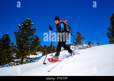 Friuli Carnia escursioni con le racchette da neve valico di Monte Croce Carnico Foto Stock