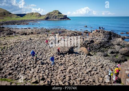 21/06/2018. Irlanda del Nord, Regno Unito. Il Giants Causeway in Irlanda del Nord.Foto di Andrew Parsons/ Parsons Media Ltd Foto Stock