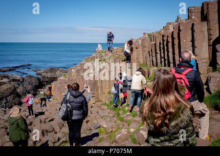 21/06/2018. Irlanda del Nord, Regno Unito. Il Giants Causeway in Irlanda del Nord.Foto di Andrew Parsons/ Parsons Media Ltd Foto Stock