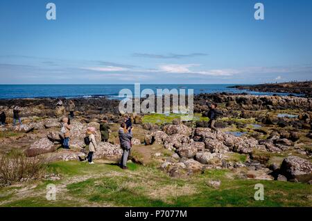 21/06/2018. Irlanda del Nord, Regno Unito. Il Giants Causeway in Irlanda del Nord.Foto di Andrew Parsons/ Parsons Media Ltd Foto Stock