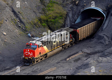 Un Canadian National treno merci tirando open top vagoni ferroviari caricati con del carbone attraverso un tunnel vicino Cadomin Alberta Canada. Foto Stock