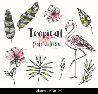 Set di vettore disegnati a mano estate tropicale elementi di design. Fenicottero rosa, Palm e foglie di banano. Illustrazione Vettoriale