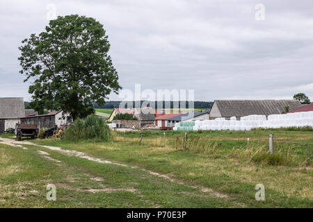 Impilati come una piramide,le balle di insilato, avvolti in una membrana.il cibo per le mucche in inverno vicino a stalle per le mucche.Farm in Podlasie, Polonia. Foto Stock
