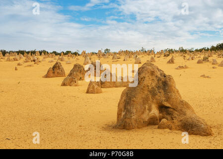 Giallo dune di sabbia e colonne di pietra calcarea Deserto Pinnacles nel Nambung National Park, Australia occidentale. Foto Stock