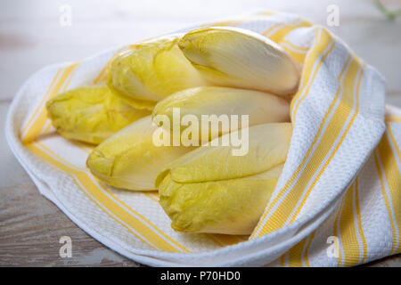 Materie organiche o belga francese scarole giallo Foto Stock