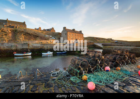 Lobster Pot in porto a Keiss vicino a stoppino in Caithness sulla costa nord-est della Scozia Foto Stock