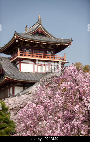 Momoyama castello durante la fioritura dei ciliegi stagione, Kyoto, Giappone, Asia Foto Stock