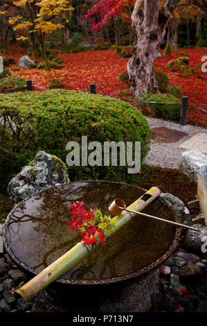 Tsukubai bacino idrico con decorazione di autunno, Enko-ji, Kyoto, Giappone, Asia Foto Stock