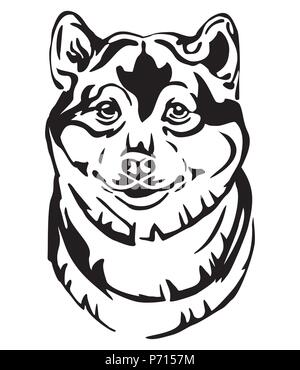 Ritratto decorativo di cane Shiba Inu, vettore isolato illustrazione in colore nero su sfondo bianco. Immagine per design e tatuaggio. Illustrazione Vettoriale