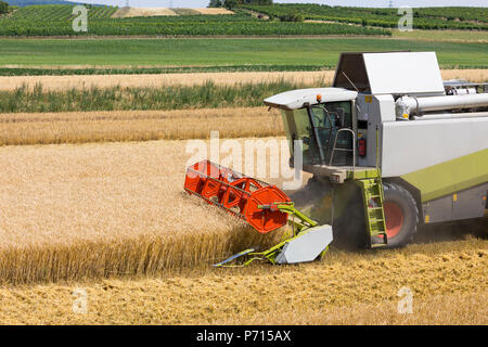 Mietitrebbia in campo di orzo, Austria, Europa Foto Stock