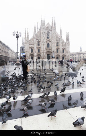 Una persona che alimenta i piccioni in Piazza Duomo, Milano, Lombardia, Italia settentrionale, Italia, Europa Foto Stock