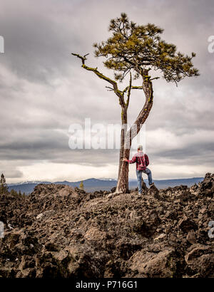 Un uomo che indossa di flanella e jeans blu sorge accanto ad un solo albero in un vecchio campo di lava, Oregon, Stati Uniti d'America, America del Nord Foto Stock