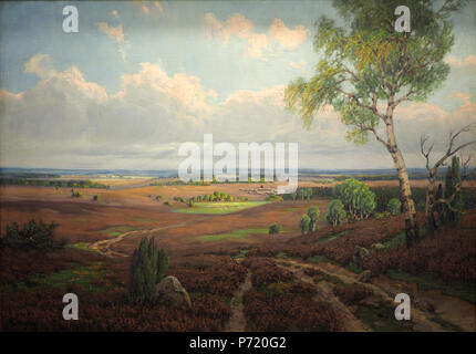 Fotocamere digitali Olympus 160 Lyongrün A. Auf blühender Heide@20170729 Foto Stock