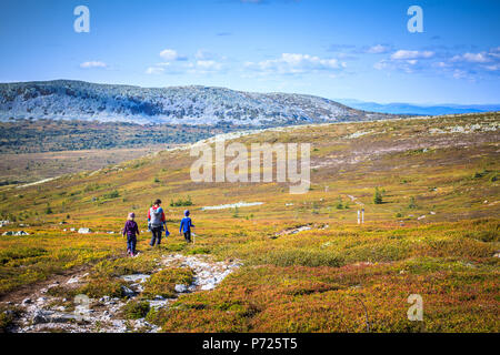 Una famiglia di quattro persone che camminano attraverso il grande vuoto paesaggio montano di Trysil, Norvegia. Arancione i colori dell'autunno, il bel tempo. Foto Stock
