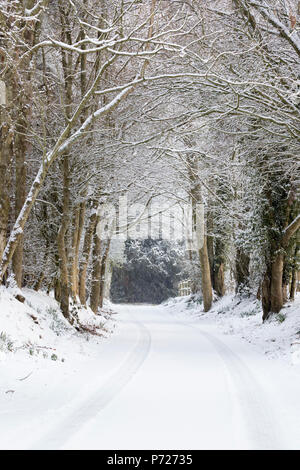 Coperta di neve e alberato paese lane, Burwash, East Sussex, England, Regno Unito, Europa Foto Stock
