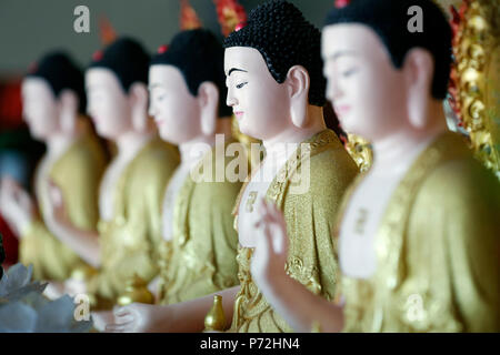 Fila di statue di Buddha, Hoi Tuong Te Nguoi Hoa cinese buddista di Tempio, Phu Quoc, Vietnam, Indocina, Asia sud-orientale, Asia Foto Stock