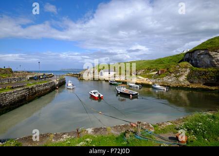 Ballintoy Harbour, Ballycastle, County Antrim, Ulster (Irlanda del Nord, Regno Unito, Europa Foto Stock