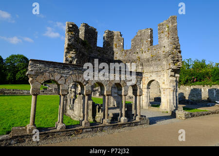 Mellifont Abbazia Abbazia cistercense, Parabiago, Leinster, Repubblica di Irlanda, Europa Foto Stock