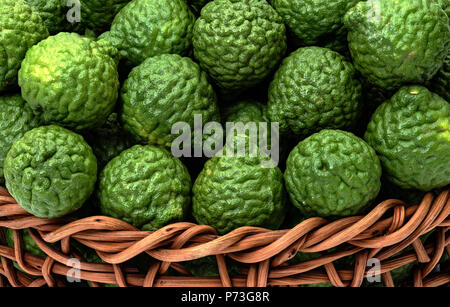 Di combava, Citrus hystrix nel cesto in vimini per la medicina di erbe Foto Stock