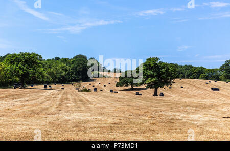 Un campo agricolo dopo il raccolto, Middlesex, Inghilterra, Regno Unito. Foto Stock