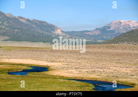 Splendido piccolo Hot Creek a est di Mammoth Lakes produce lotti di arcobaleno e la trota fario. Volare i pescatori lavorano le pieghe nei prati. Foto Stock