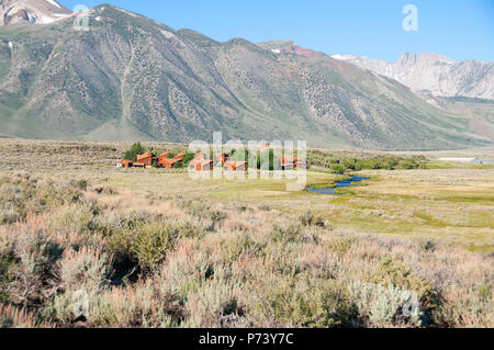 Splendido piccolo Hot Creek a est di Mammoth Lakes produce lotti di arcobaleno e la trota fario. Volare i pescatori lavorano le pieghe nei prati. Foto Stock