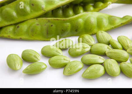 Parkia speciosa isolati su sfondo bianco Foto Stock