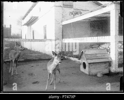 60 Narcyz Witczak-Witaczyński - Koszary przy ulicy 29 Listopada w Warszawie - boccherini sytuacyjne (107-45-4) Foto Stock