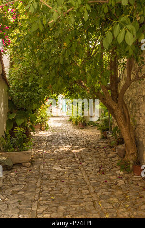 Una vista del villaggio tradizionale Lania in Cipro Foto Stock