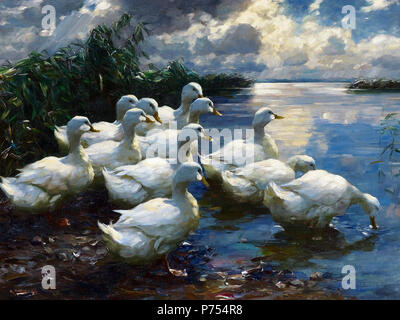 Tedesco: Enten am Ufer des Bodensees. da 1932 8 Alexander Koester Enten am Ufer Foto Stock