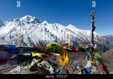 Bandiere di preghiera e montagne coperte di neve, vicino Kyanjin Gompa, Langtang Valley, Nepal Foto Stock