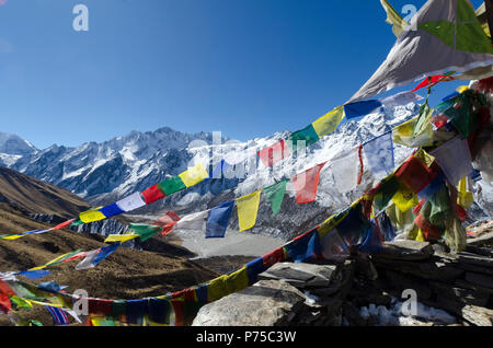 Bandiere di preghiera e montagne coperte di neve, vicino Kyanjin Gompa, Langtang Valley, Nepal Foto Stock